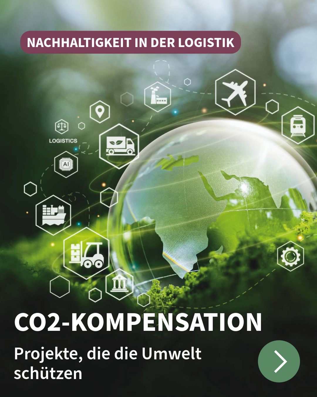 Mal Nachgefragt: CO2-Kompensation